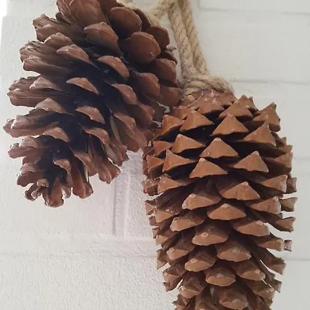 Prázdninový dům Bungalow, Vrijstaand, Het Vosseven Nr 38 *