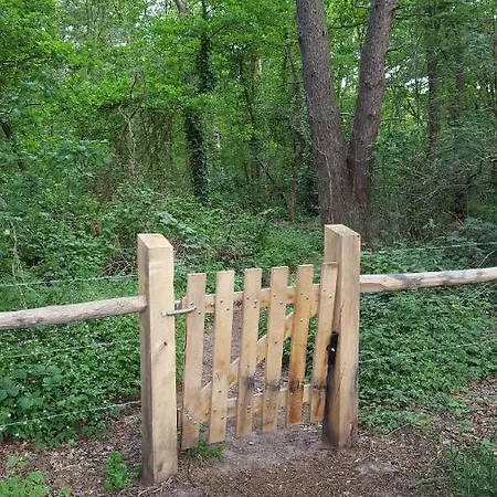 Bungalow, Vrijstaand, Het Vosseven Nr 38 * Stramproy