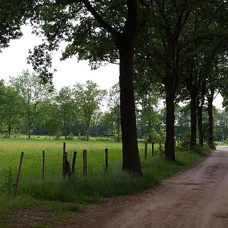 Holiday home Bungalow, Vrijstaand, Het Vosseven Nr 38