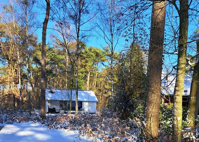 Bungalow, Vrijstaand, Het Vosseven Nr 38 * Stramproy