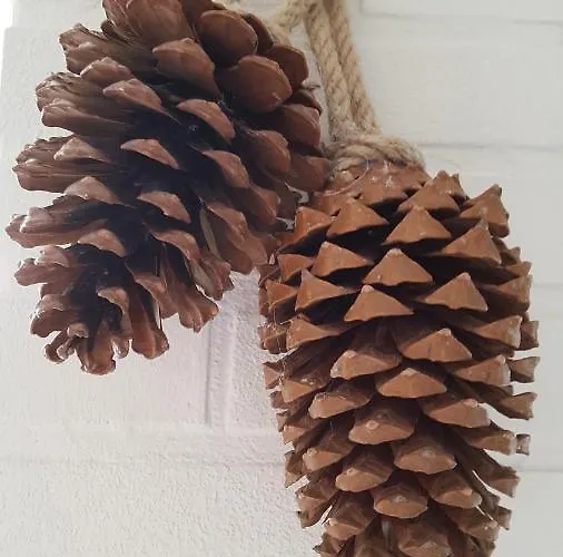 بيت للعطل Bungalow, Vrijstaand, Het Vosseven Nr 38 *