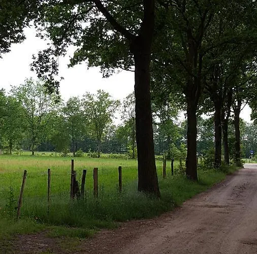 بيت للعطل Bungalow, Vrijstaand, Het Vosseven Nr 38