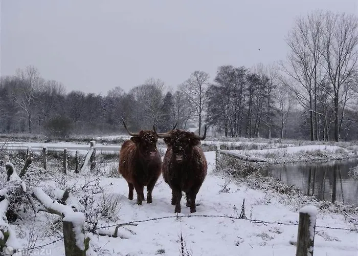 Bungalow, Vrijstaand, Het Vosseven Nr 38 بيت للعطل *