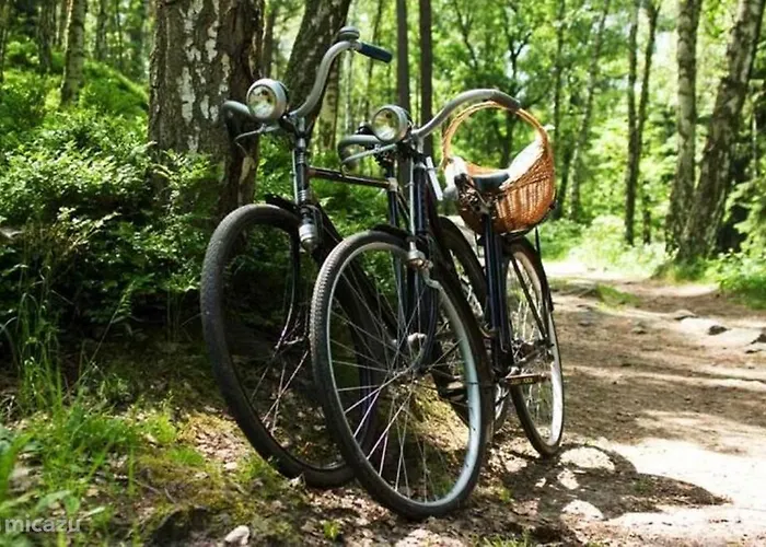 Bungalow, Vrijstaand, Het Vosseven Nr 38 بيت للعطل Stramproy