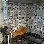 Bungalow, Vrijstaand, Het Vosseven Nr 38 Hébergement de vacances *