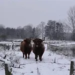 Bungalow, Vrijstaand, Het Vosseven Nr 38 Hébergement de vacances *