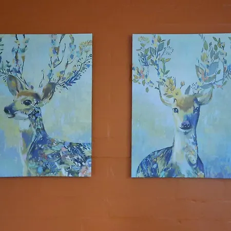 Bungalow, Vrijstaand, Het Vosseven Nr 38 Stramproy