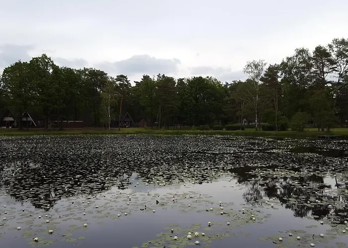 Bungalow, Vrijstaand, Het Vosseven Nr 38